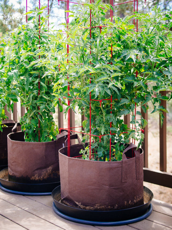 Lot of 10-35 Gallon Longest Lifespan Fabric Pots Vegetable Garden Tomato Fruit 