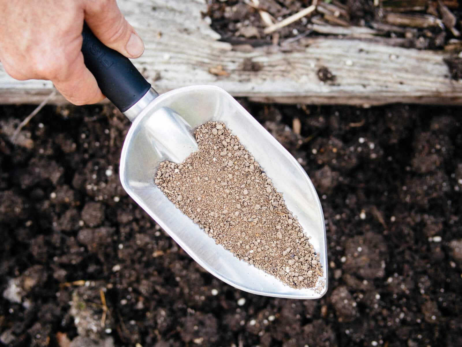 Amend your soil properly with suggestions from a soil test