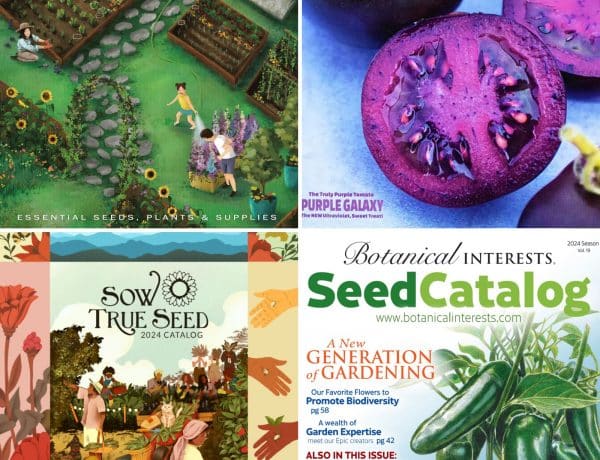 The best garden seed catalogs