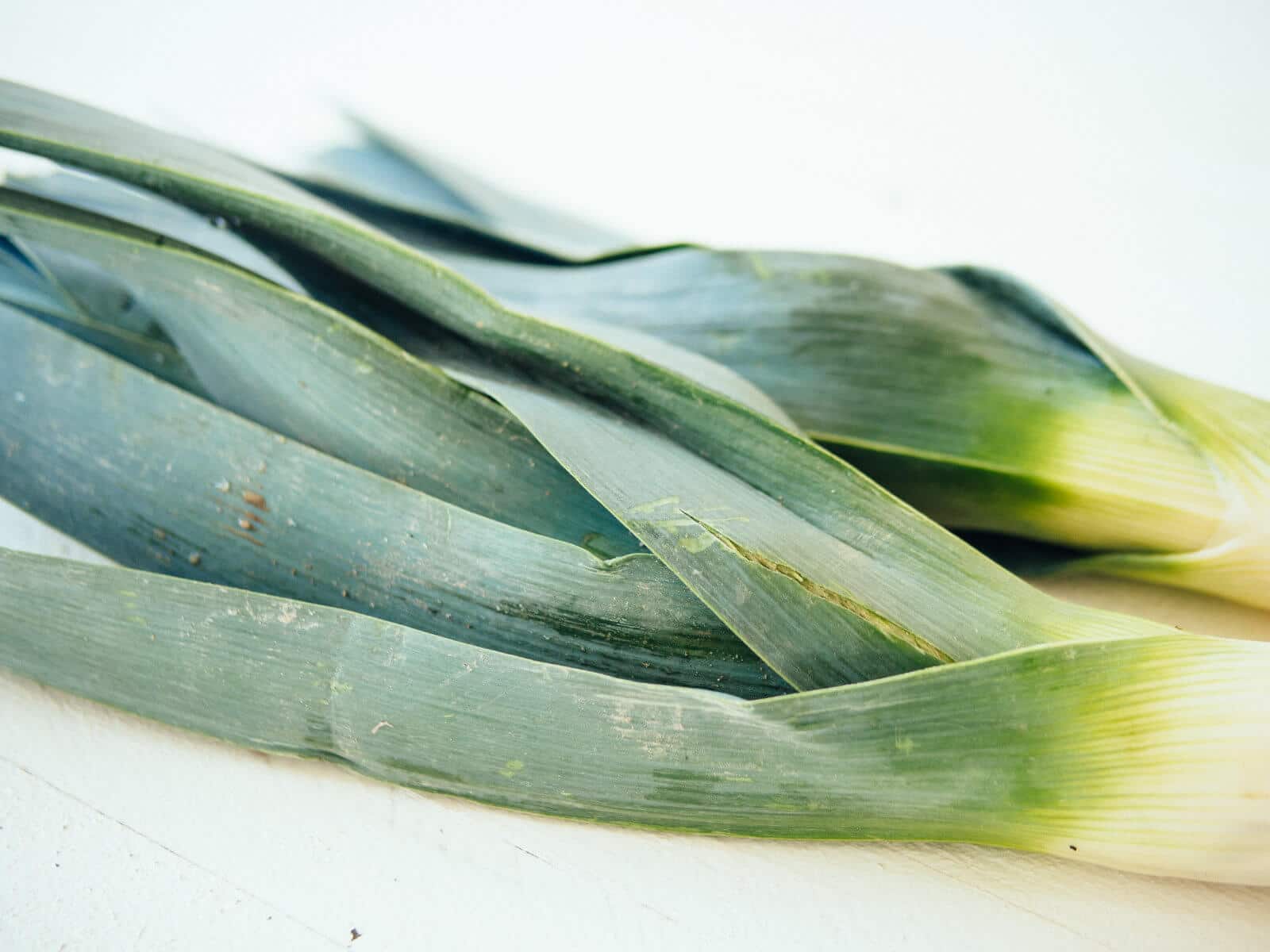 Leek tops are edible