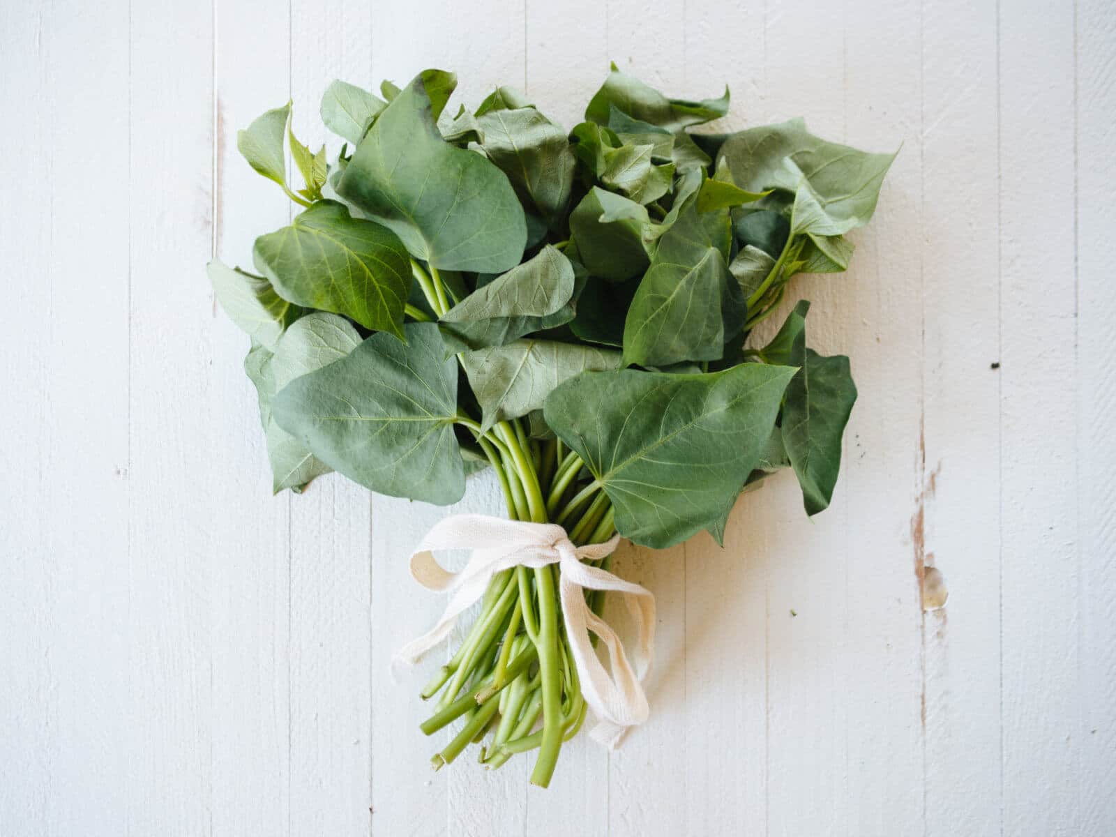 Sweet potato leaves are edible