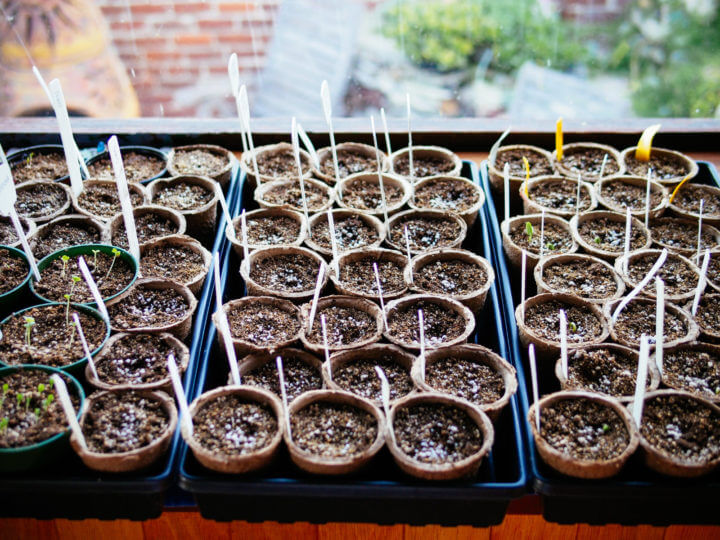 Greenhouse  Seeds Garden Tools Nursery Pot Plants Label Seedling Tags 