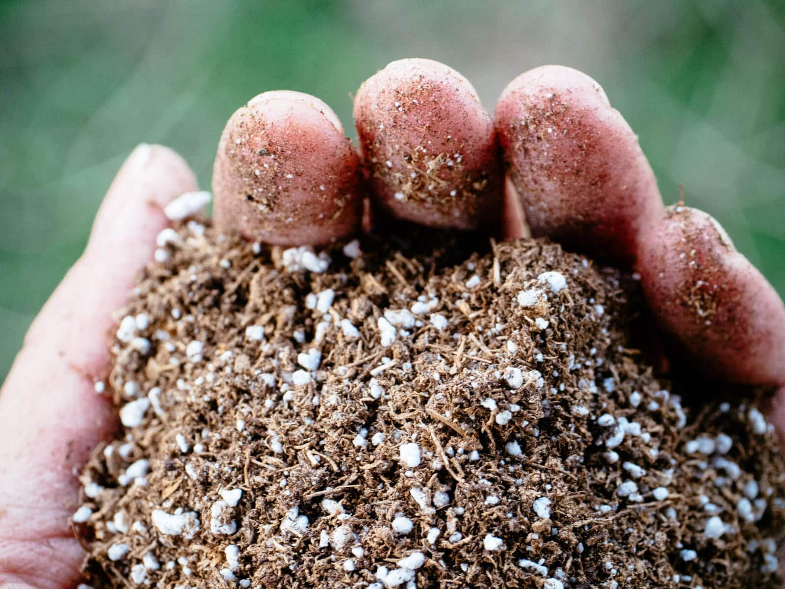 Perlite and vermiculite in soilless potting mix