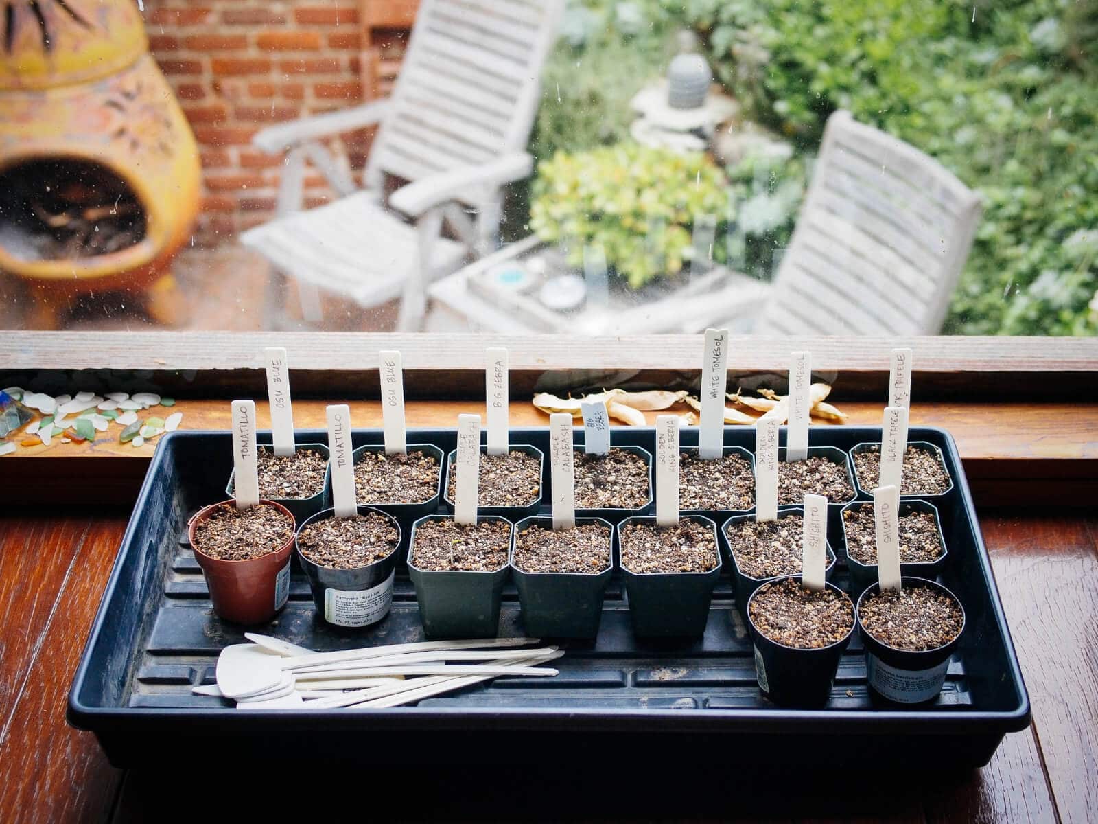 Indoor seed starting