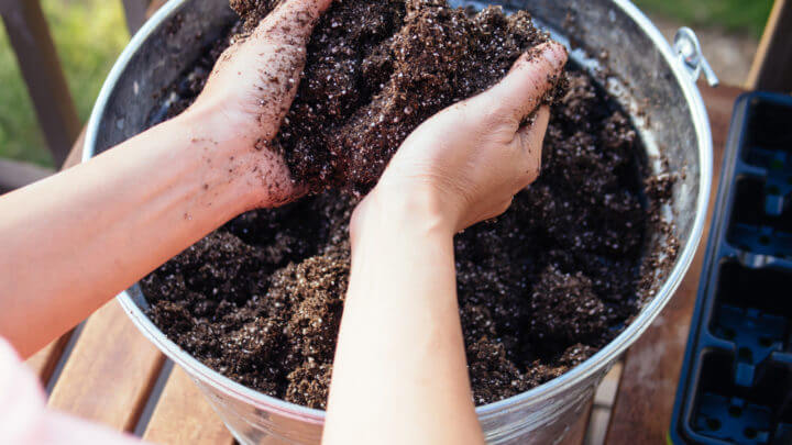Make the Best Seed Starting Mix for Dirt Cheap (It's Organic Too) – Garden  Betty