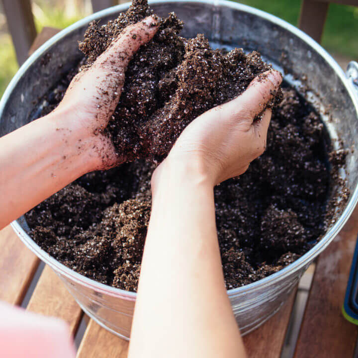 Make The Best Seed Starting Mix For Dirt It S Organic Too Garden Betty - Diy Seedling Heat Mat Alternative