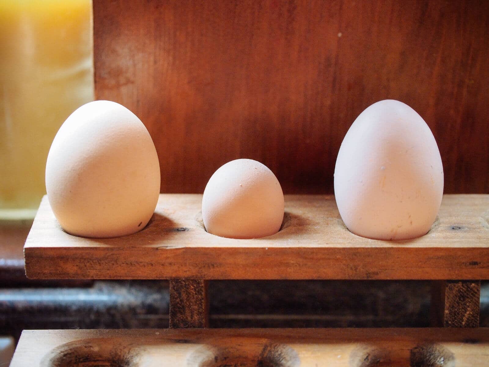 A fairy egg compared to large chicken eggs