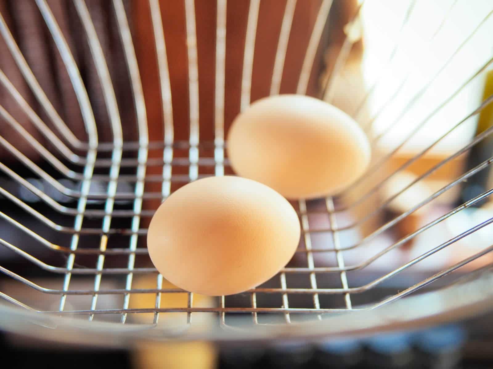You don't need to refrigerate eggs if they're homegrown