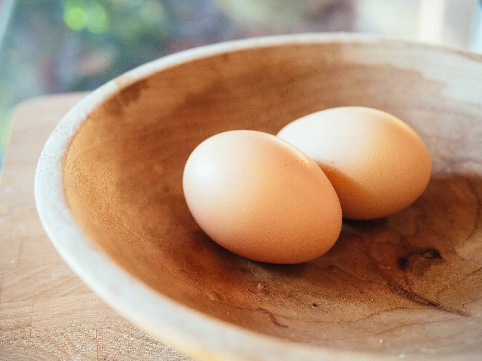 Freshly laid eggs can be stored safely at room temperature