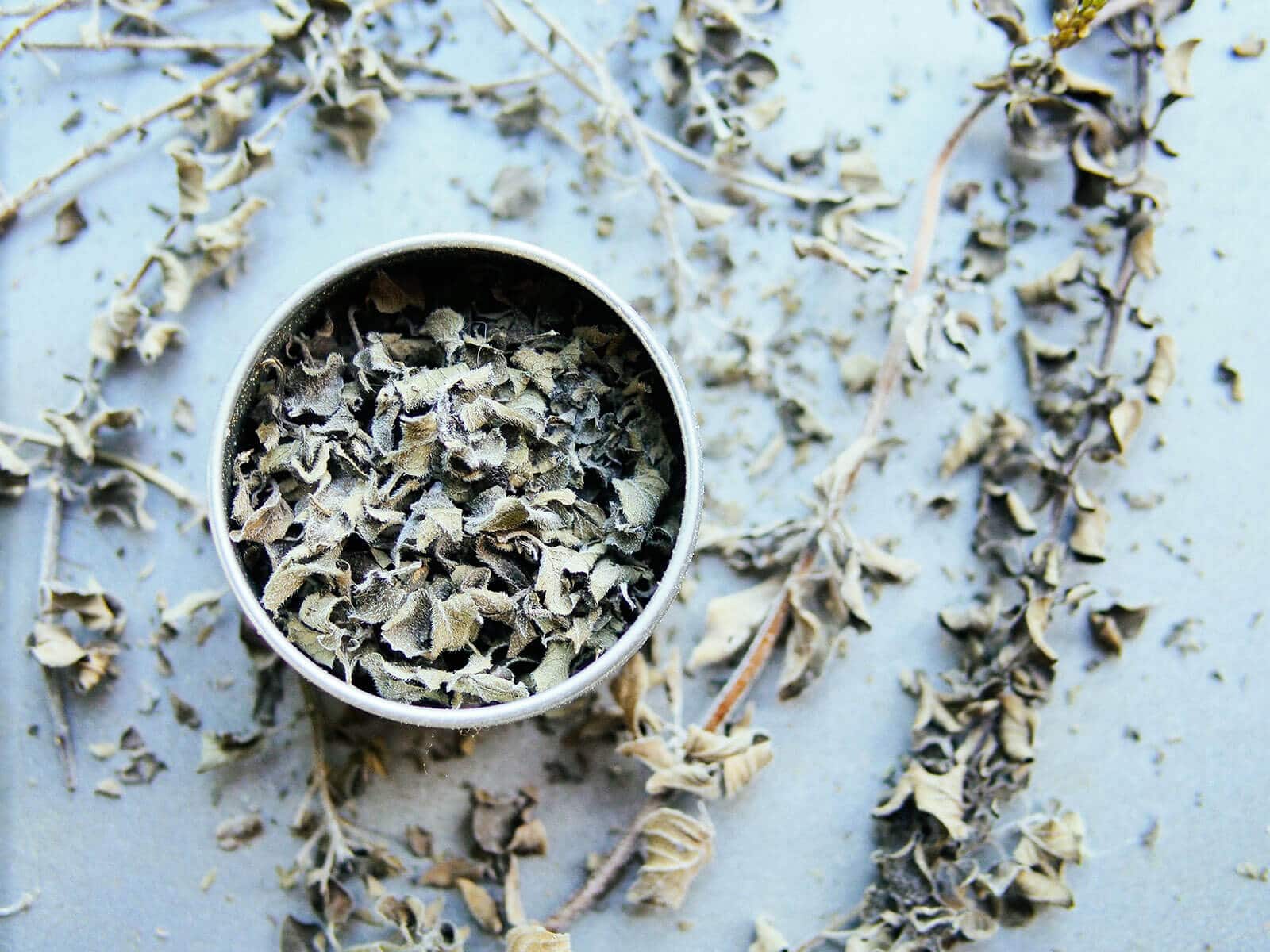Drying and Storing Oregano for Long-Term Use