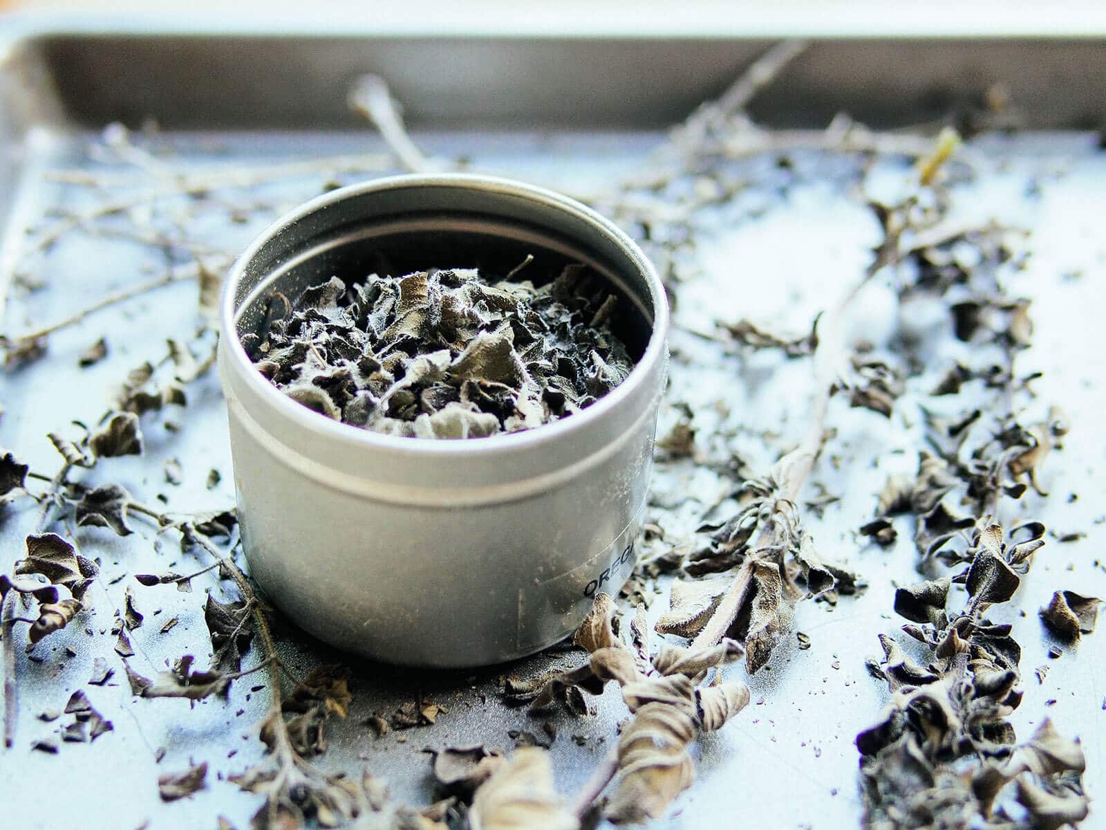 Oven-dried oregano in a spice container
