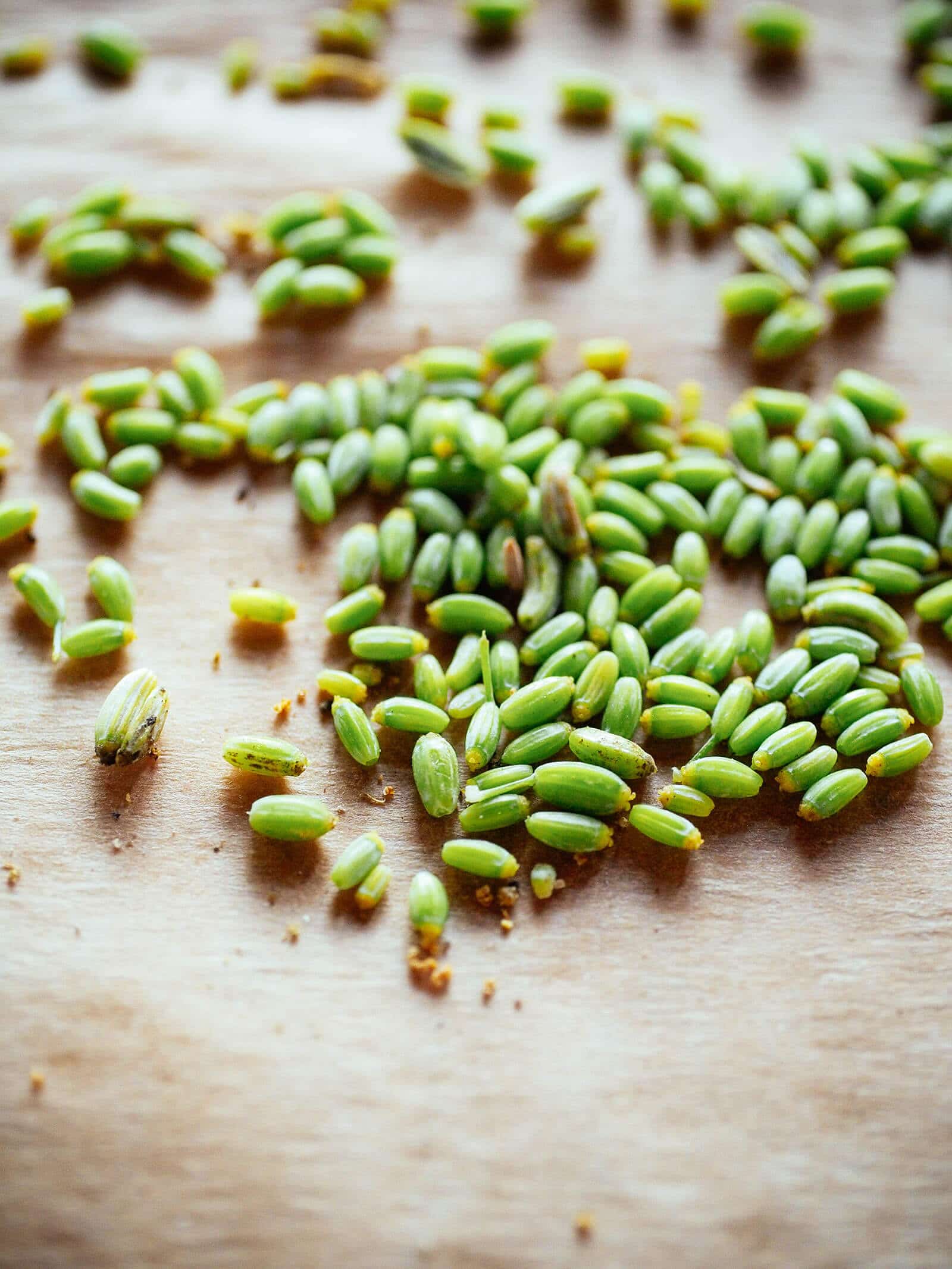 Pile of green fennel seeds on parchment