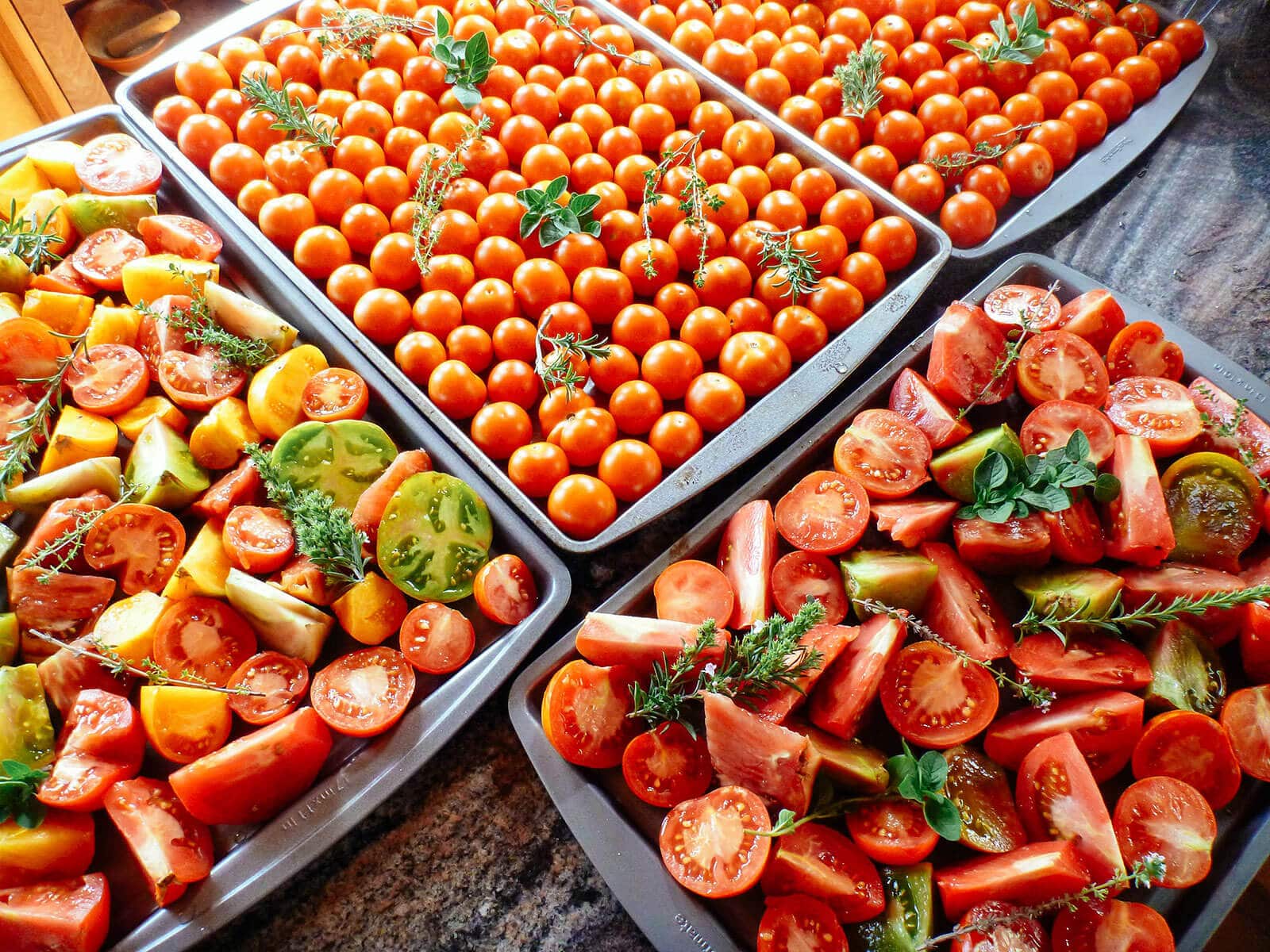 Four baking sheets filled with whole cherry tomatoes and sliced tomatoes with sprigs of fresh herbs on top