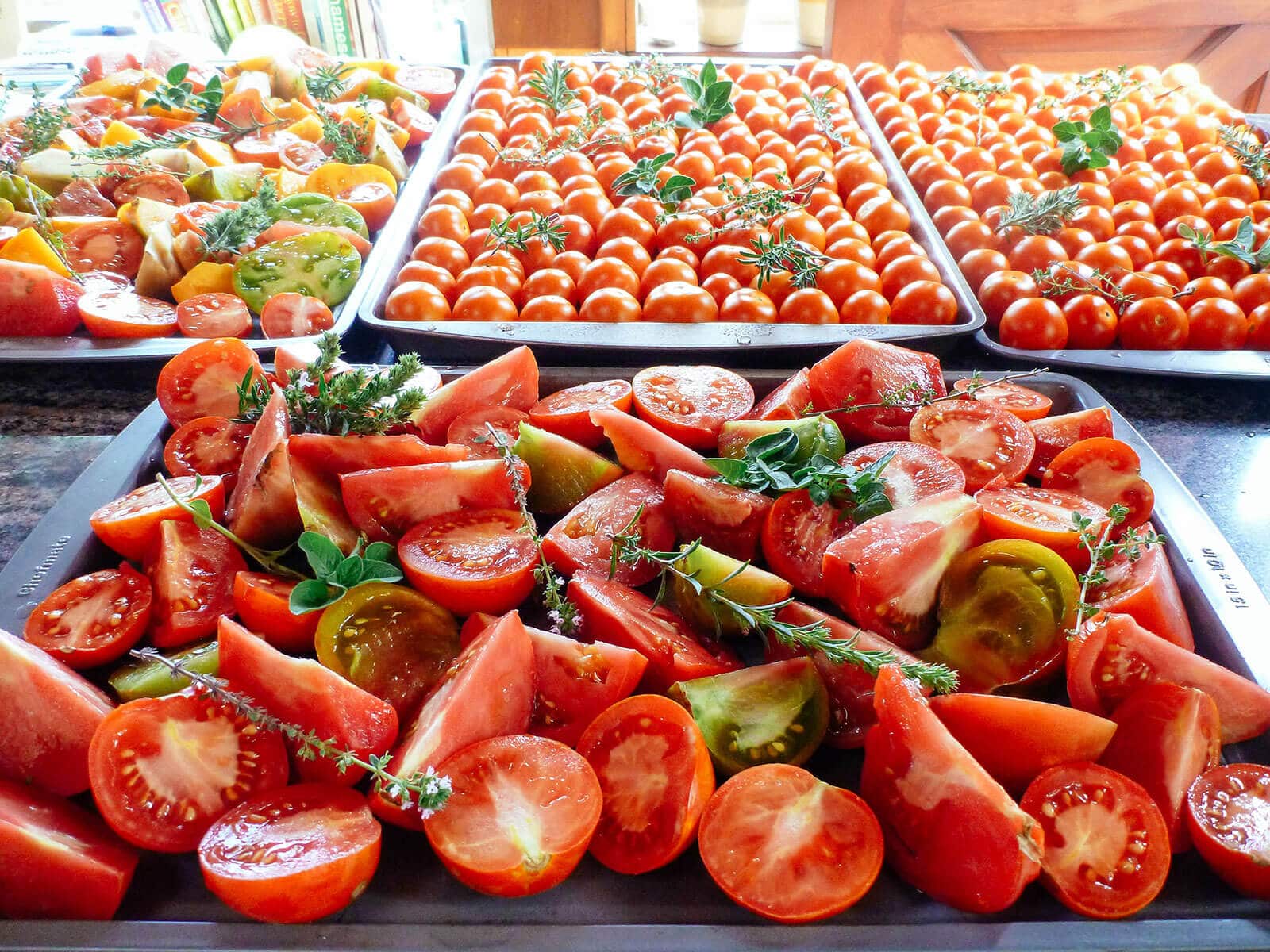 Close-up of tomato slices and wedges with sprigs of fresh herbs arranged on a baking sheet on the counter