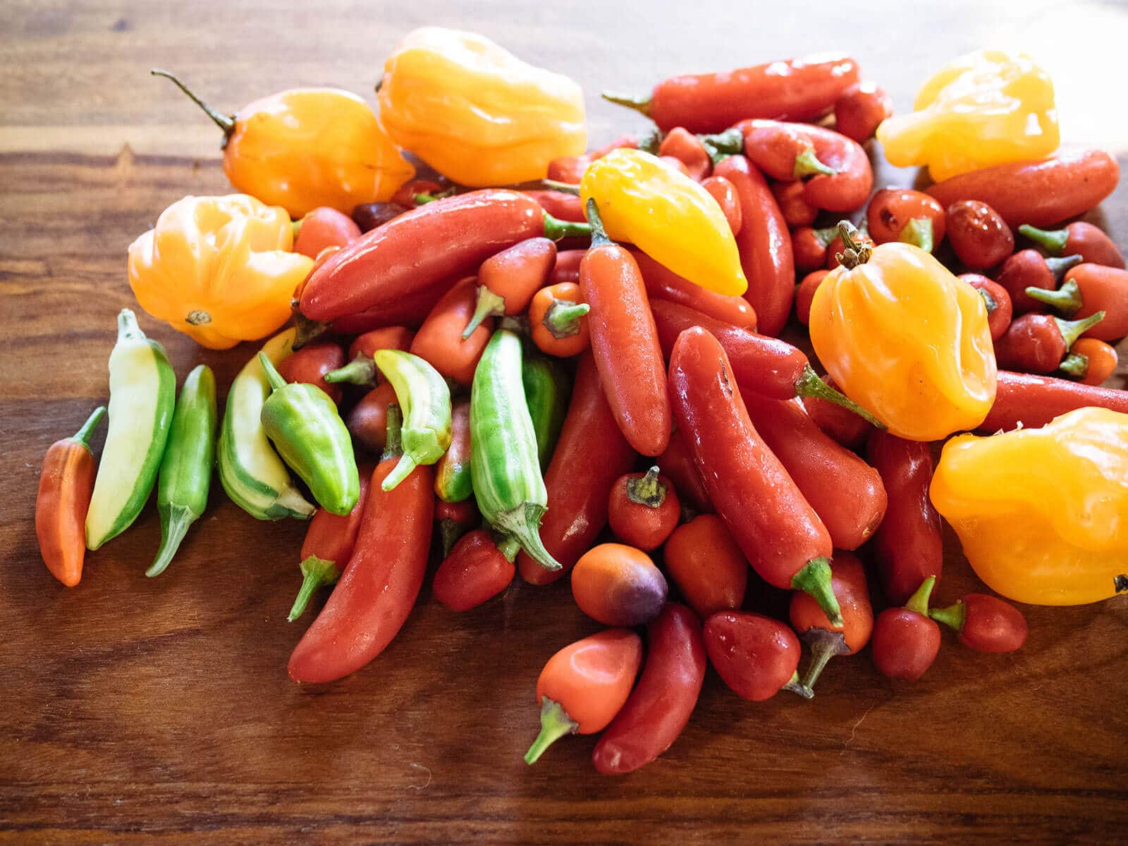 Pile of assorted hot chile peppers on a cutting board