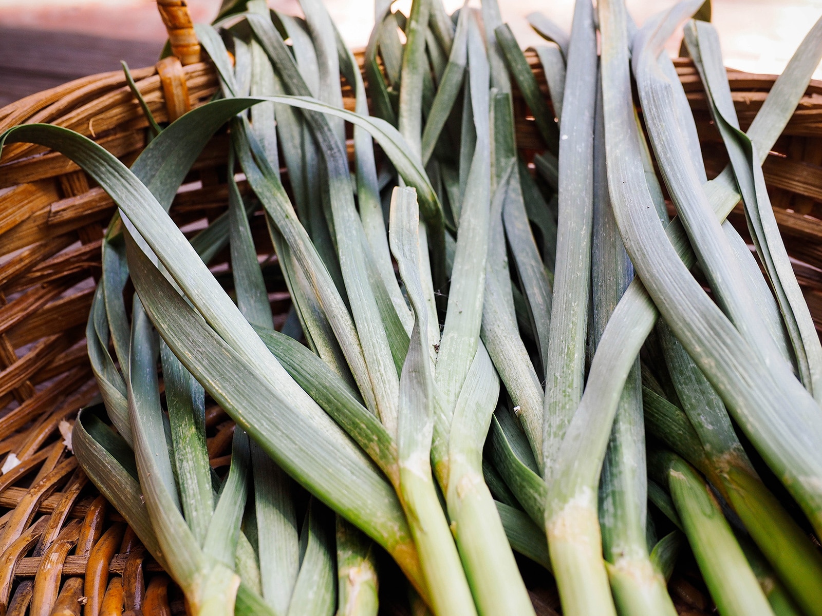 Bundle of green garlic tops in a basket
