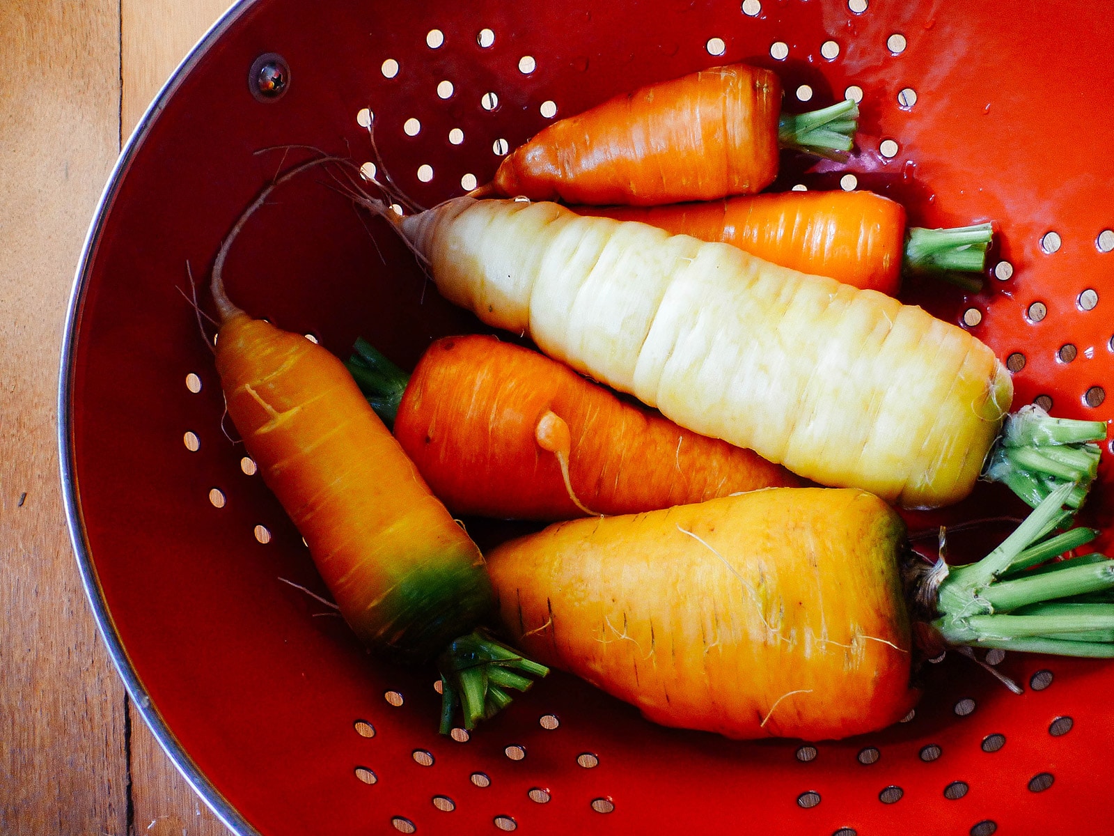 Colander full of orange, yellow, and white carrots