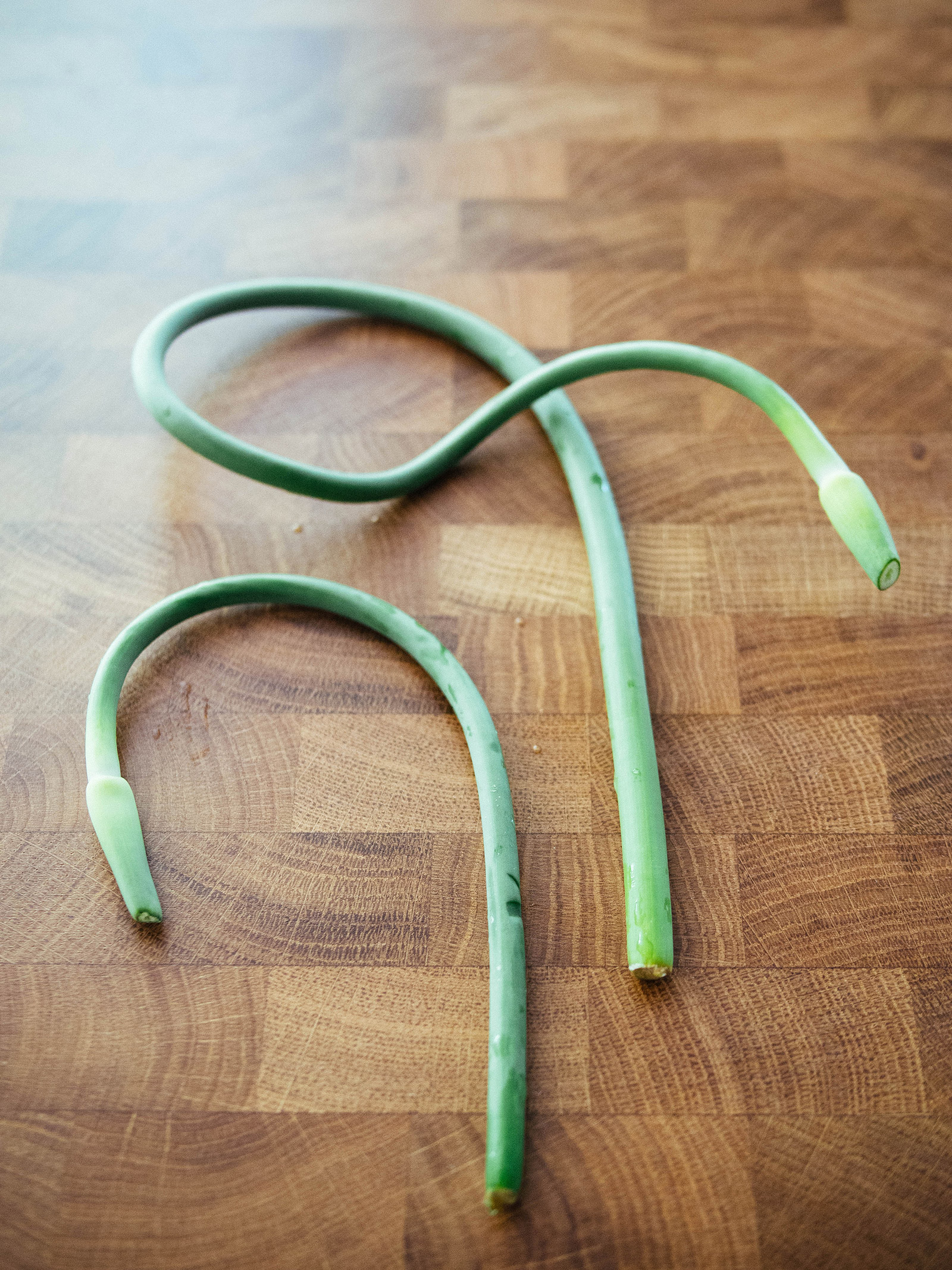 Freshly harvested garlic scapes showing just one loop