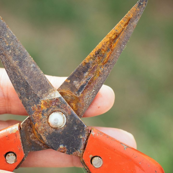 The best way to remove rust from tools—no scrubbing required