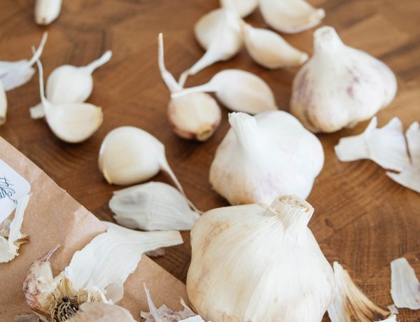 How to choose the best garlic varieties for your garden