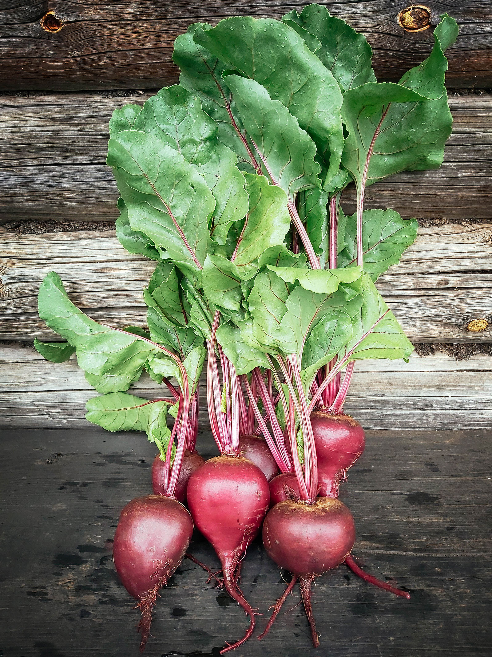 Bunch of red baby beets on a rustic wooden surface