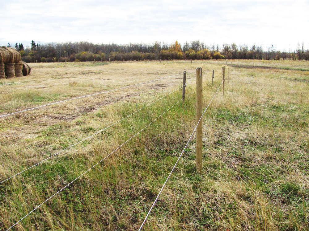 3D deer fence made from wooden posts and lines