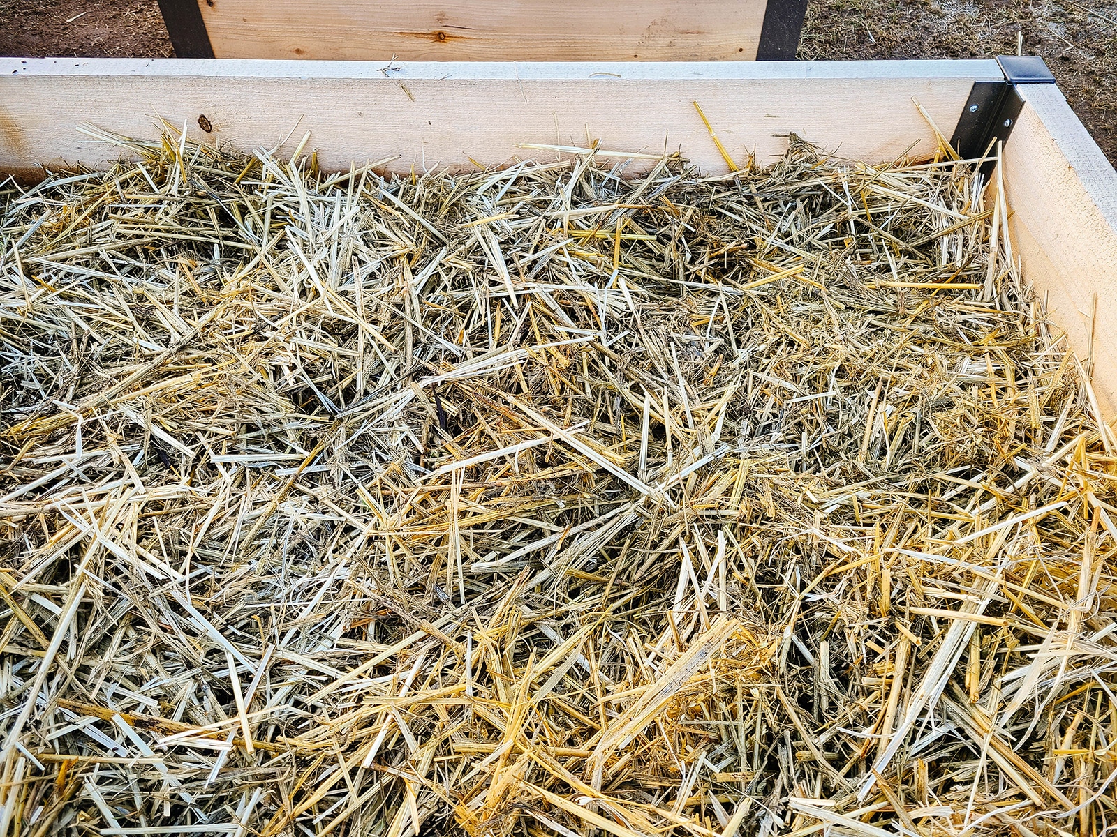 A raised bed covered in straw mulch