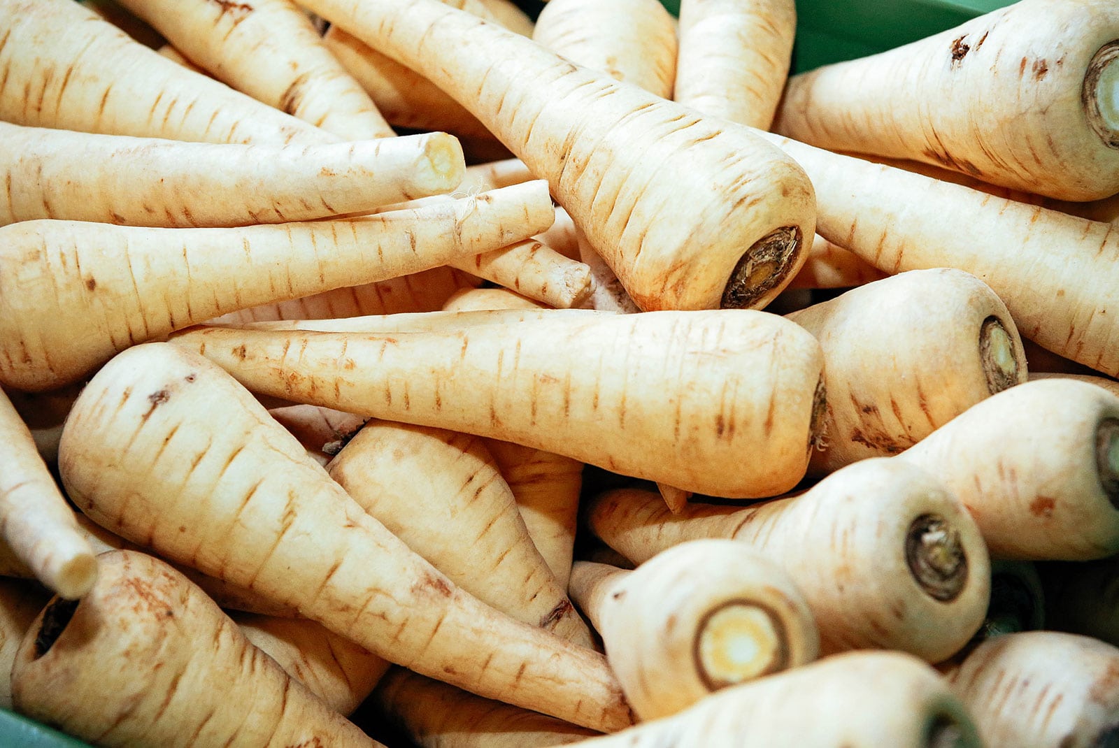Pile of parsnips