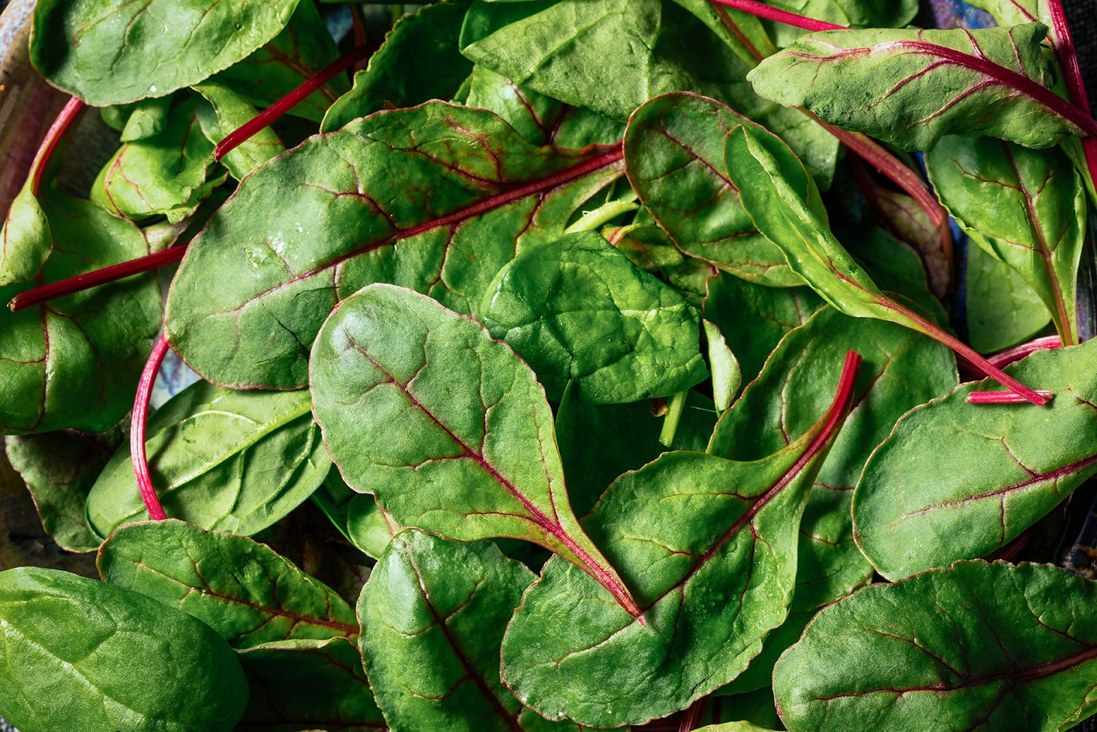 Pile of baby chard leaves
