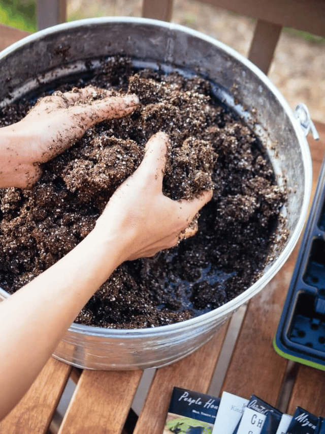 Make Your Own Organic Seed Starting Mix Garden Betty