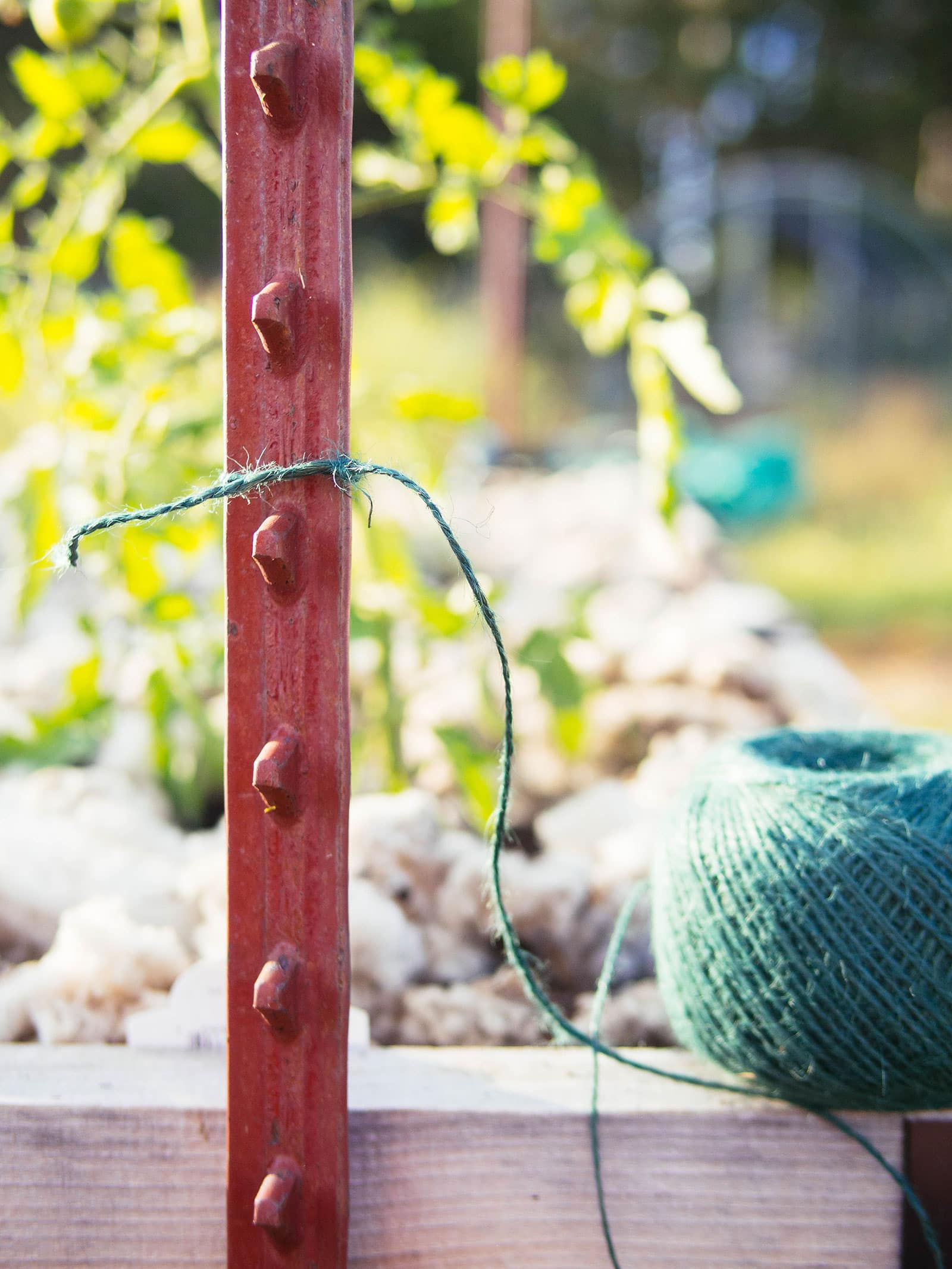 A roll of green hemp cord resting on the edge of a raised bed with a length of cord tied off to a red T-post