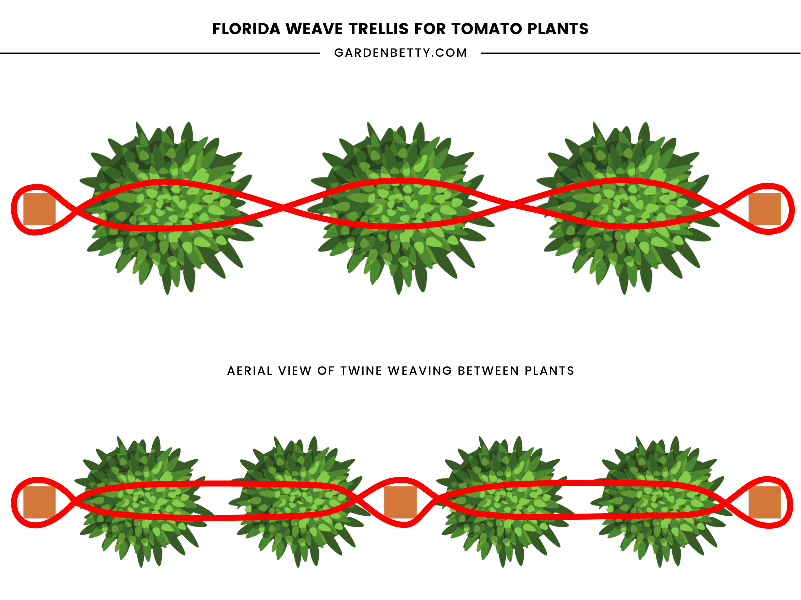 Illustration showing two different ways to make a Florida weave trellis for tomato plants