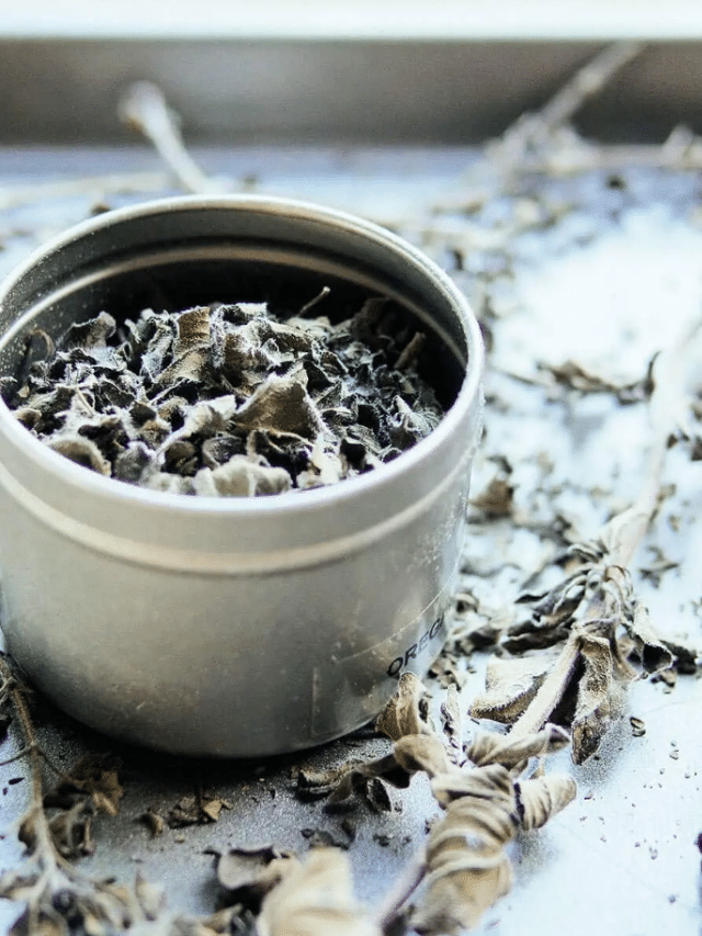 How to Dry Fresh Oregano in the Oven (Fast!) Garden Betty