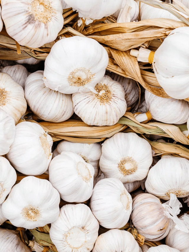 The Best Garlic Varieties to Plant In Your Garden Garden Betty
