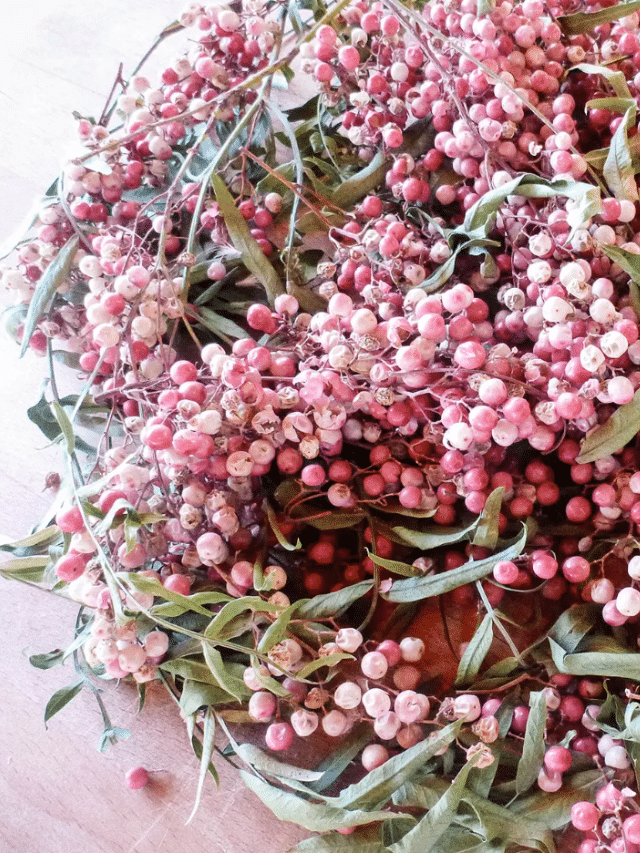Peruvian Pink Peppercorns Are In Season How to Forage Them Garden Betty