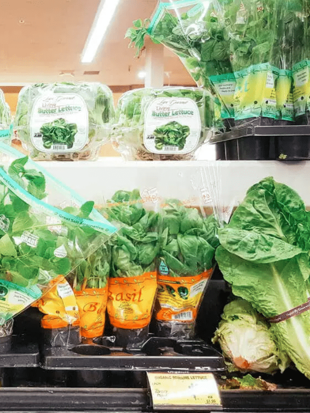 You Can Plant Those Living Herbs from the Grocery Store&mdash;Here&rsquo;s How